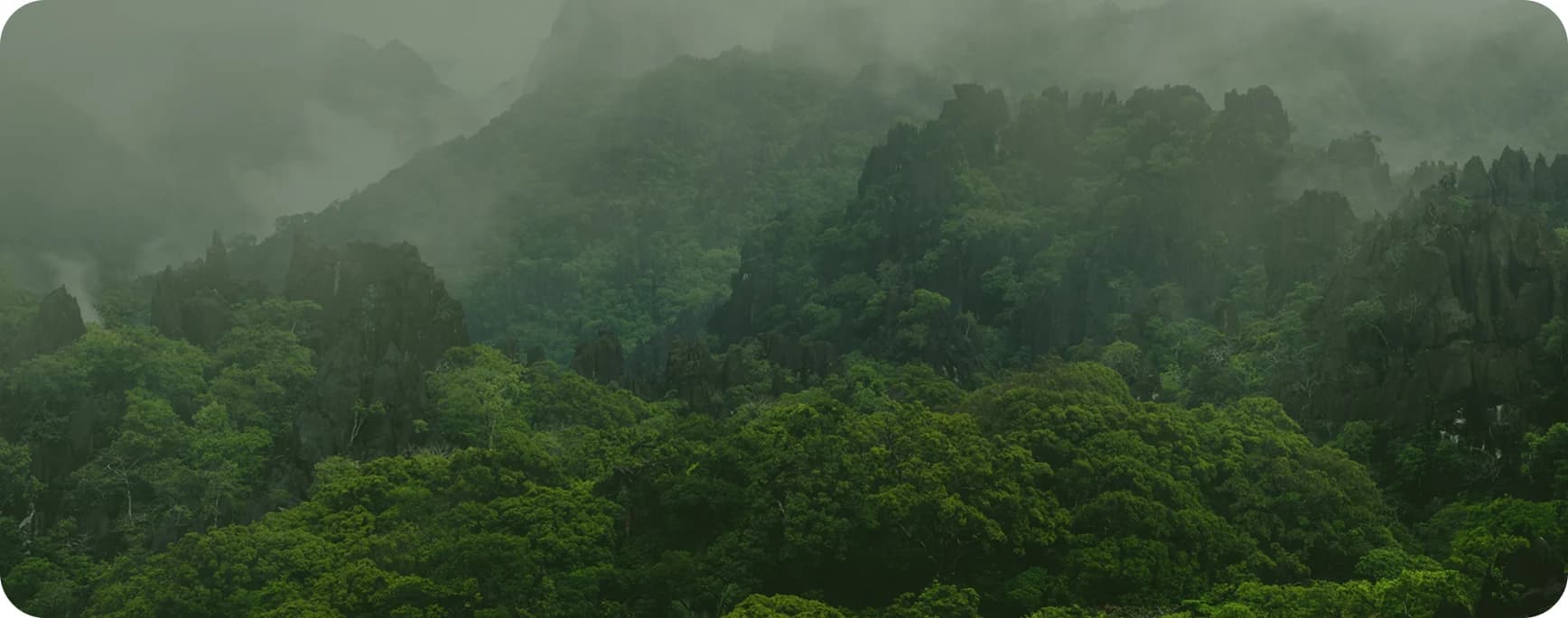 Nature background