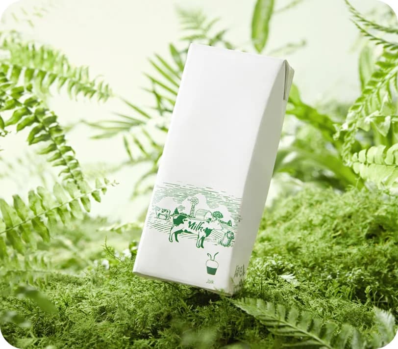 Sustainability footprint example 2
