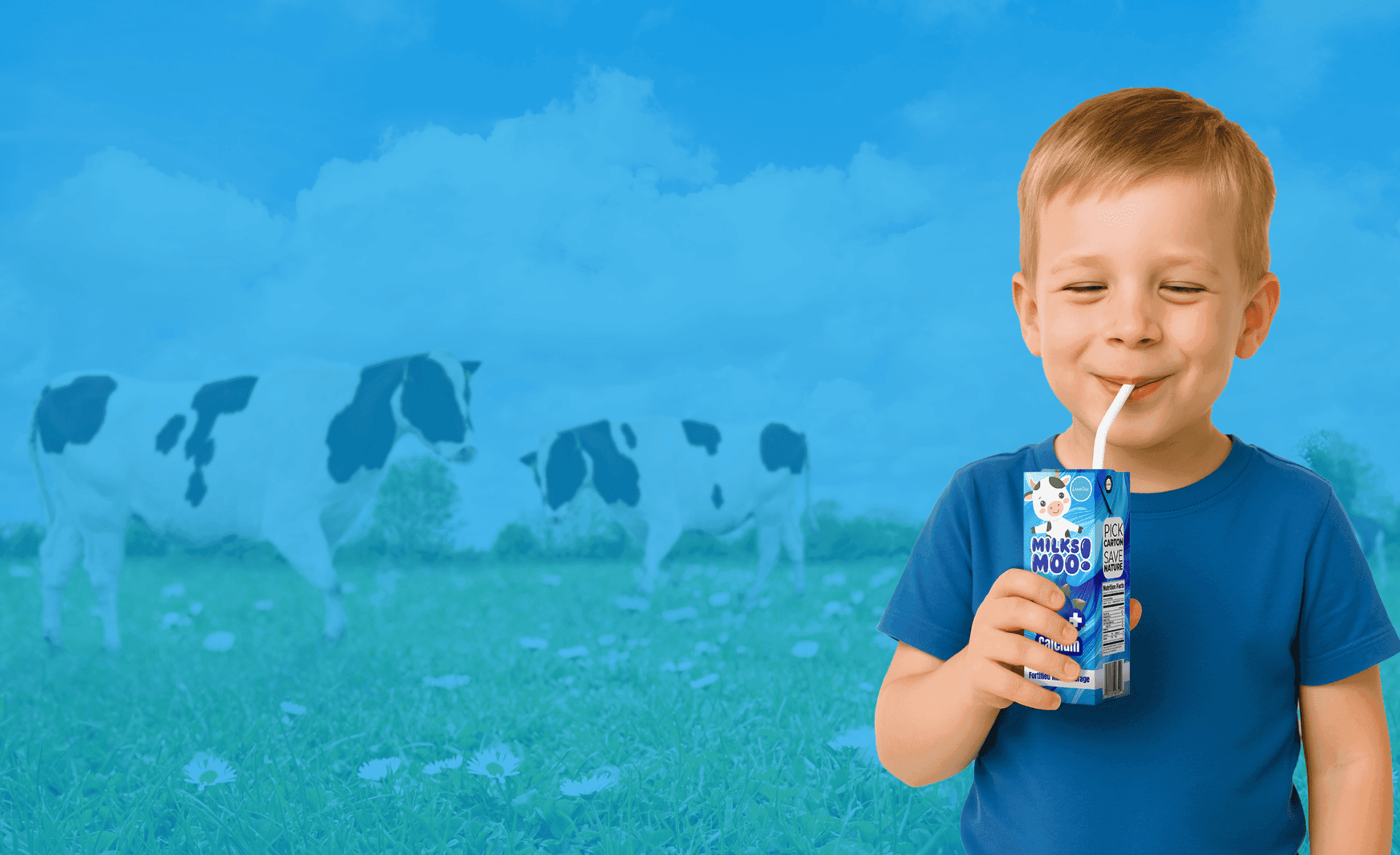 Dairy Industry